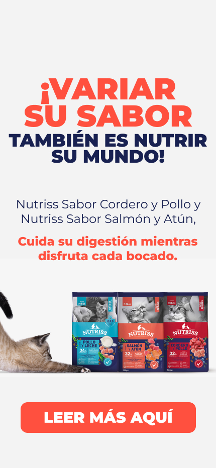 Banner: NG Home Julio Sabores Cat